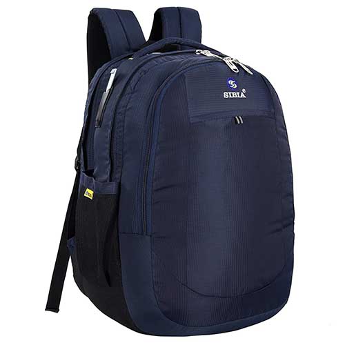 Rynolds back pack trolley bags